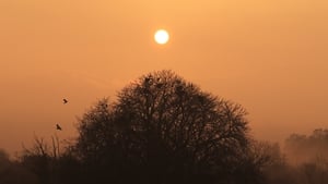 RTÉ lyric fm takes part in The Dawn Chorus 2024 on 5th May